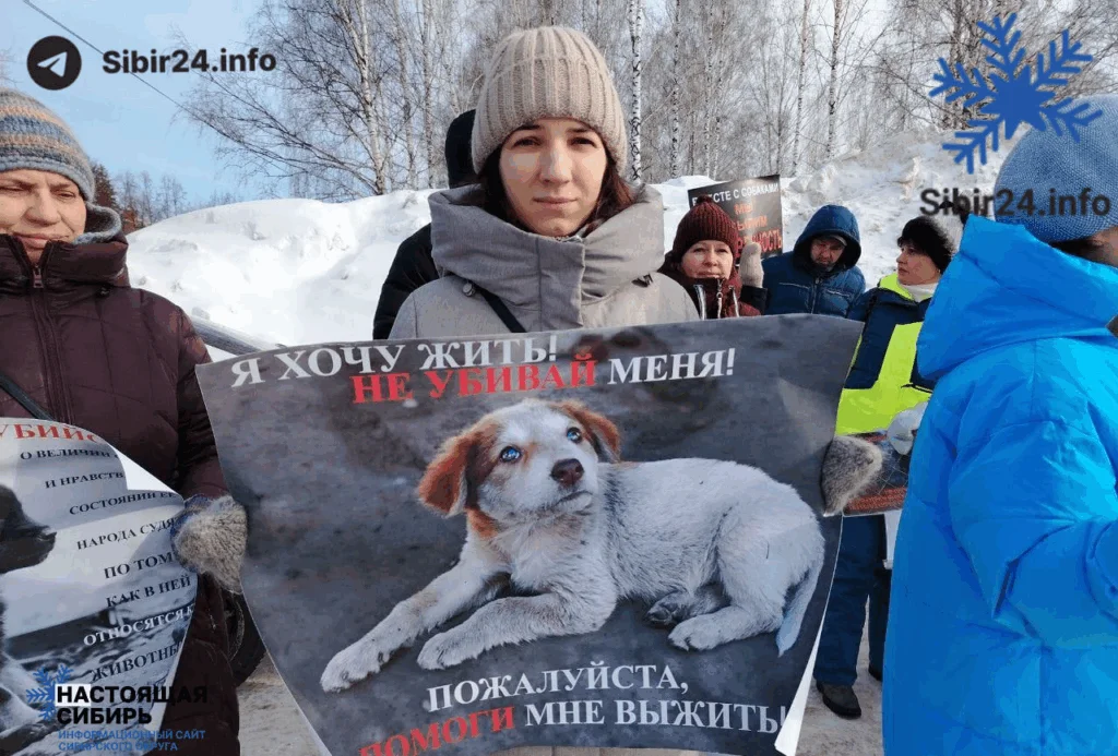 Пикет против&nbsp;убийства бездомных собак прошёл в&nbsp;Томске