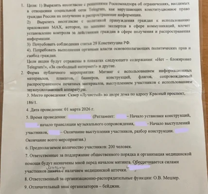 Новосибирцы решили присоединиться к митингам 1 марта за Telegram