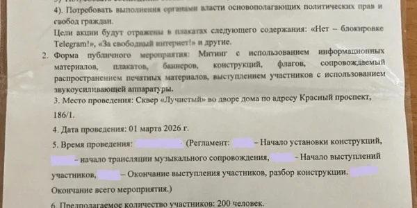 Новосибирцы решили присоединиться к митингам 1 марта за Telegram