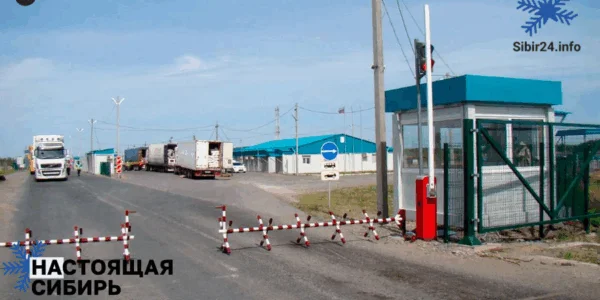 Казахстан признал мясо из&nbsp;Сибири опасным