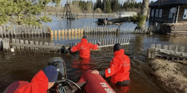 В Новосибирской области затопило село
