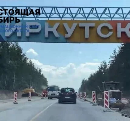 Черновик