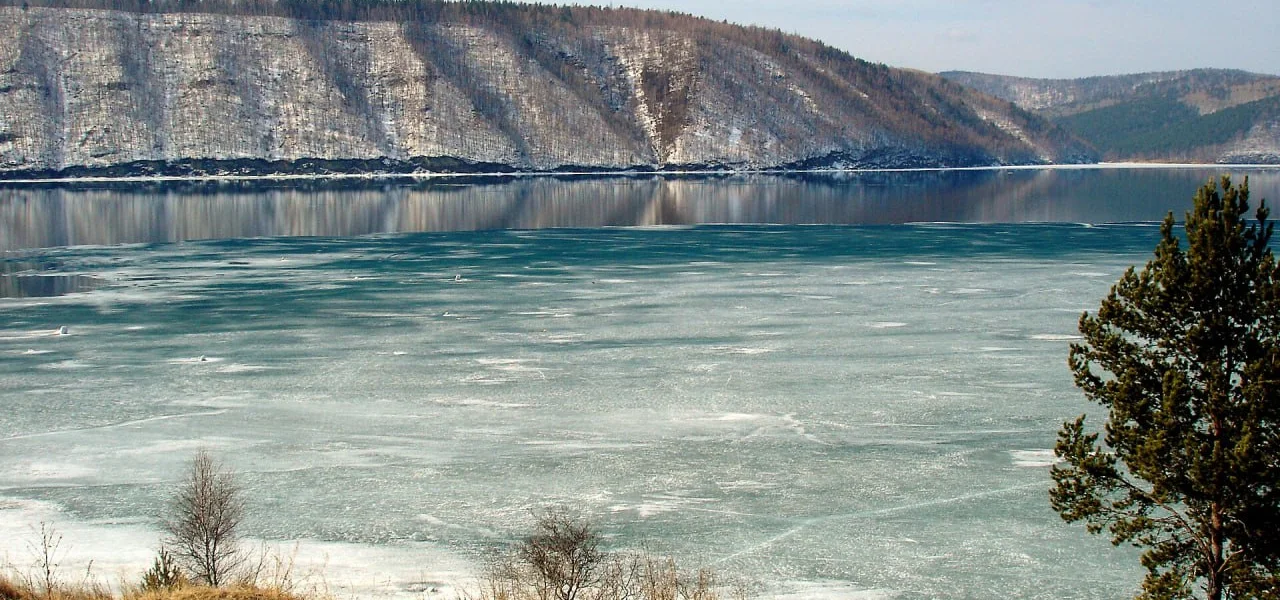 Черновик