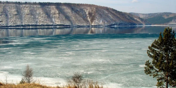 Черновик