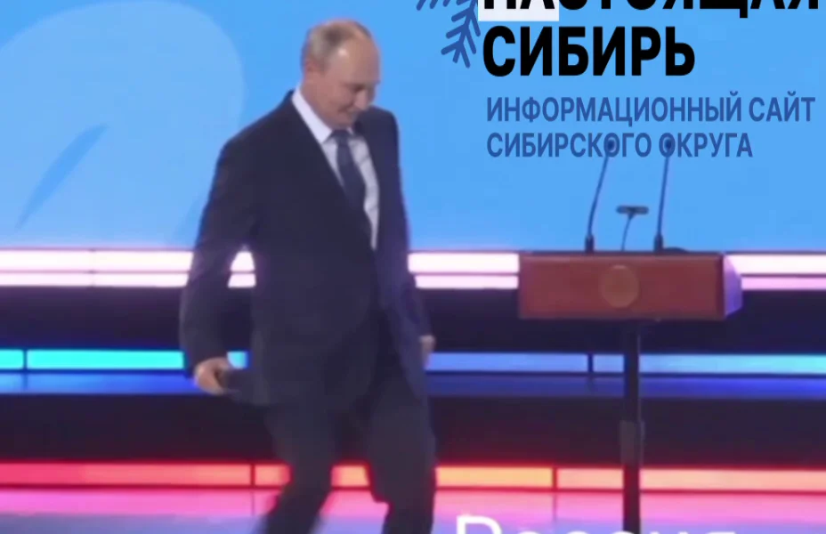 Черновик