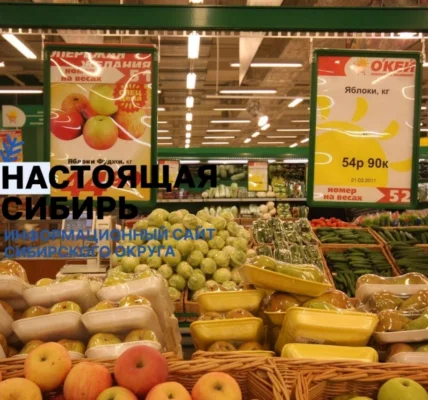 Черновик