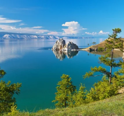 Черновик