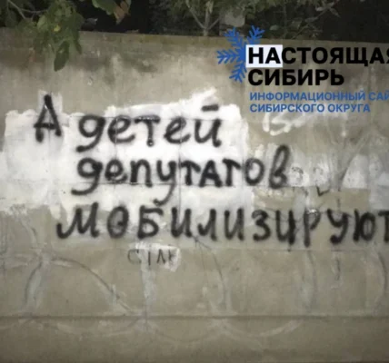 Черновик