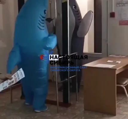Черновик