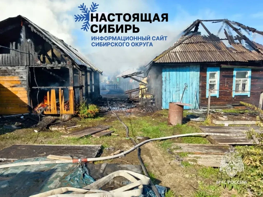 Черновик