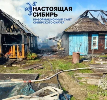 Черновик