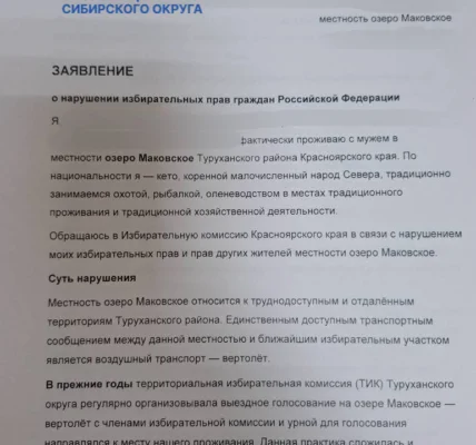 Черновик