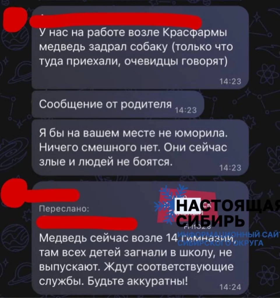 Черновик